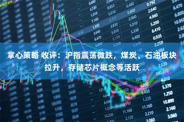 掌心策略 收评：沪指震荡微跌，煤炭、石油板块拉升，存储芯片概念等活跃
